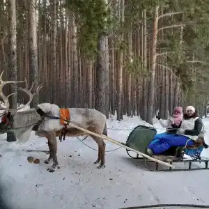 Купец - 25