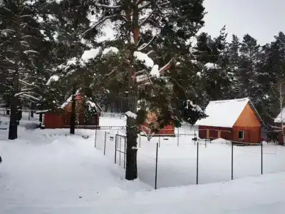 Купец - 0