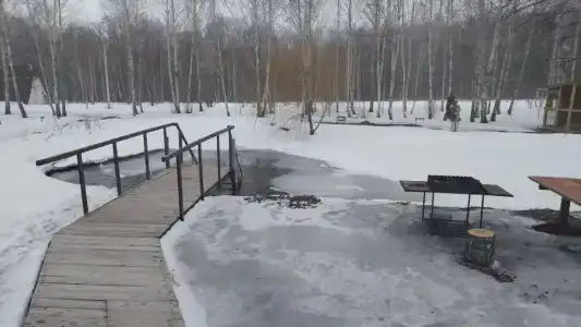 Мультиферма - 33