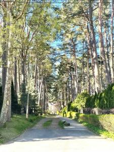 alke Resort & SPA  - 68