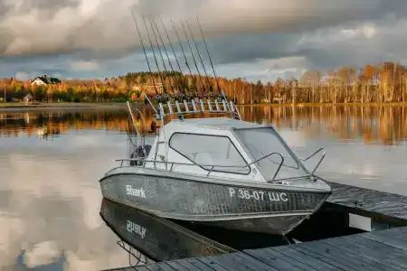 Черные камни - 70