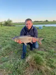 Бояринцево - 82