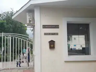 У Нелли - 15