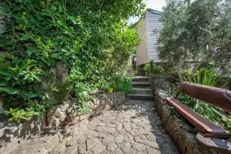 Ласточка - 15