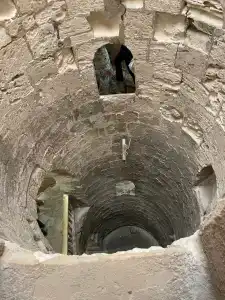 Beach Albatros - - 30