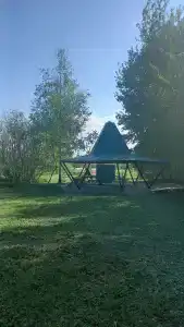 Вгости - 36