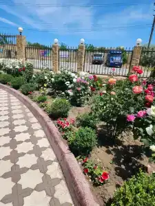 Каспий - 5