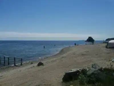 Зелёная полянка - 35