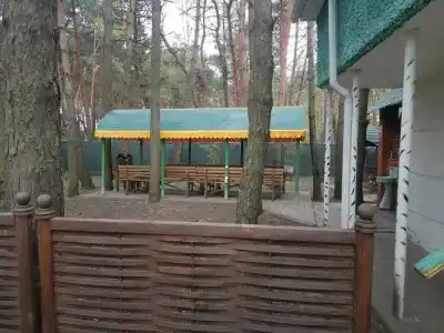 Горняк - 8