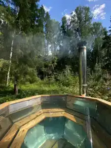 Окна в лес - 17