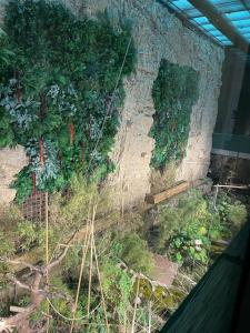 Elite World Europe - 82