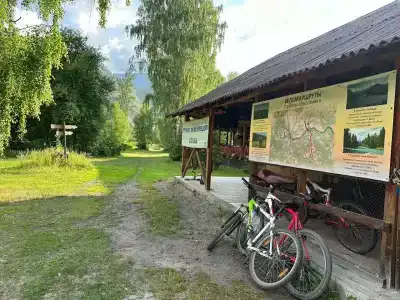 Высотник - 36