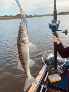 Соколино - 60