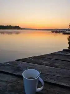 Зелёная роща - 32