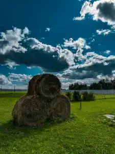 Александровский спас - 6