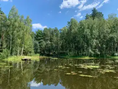 Лесная - 12