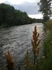 Байтерек Camp - 51