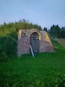 Маркомусы - 26