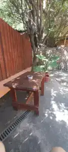 Собака - 17