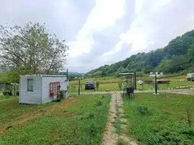 Вишневый сад - 22