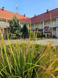 Розовый Фламинго - 5