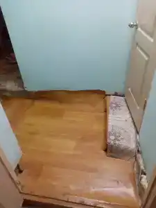 Багира - 6