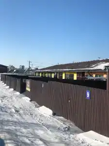 Берёзка - 33