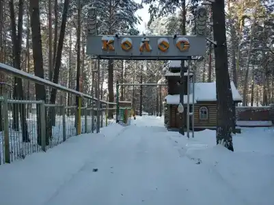 Колос - 11