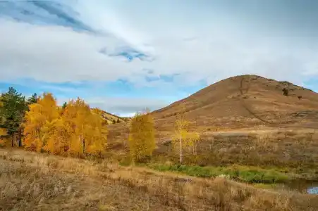 Нурали - 50