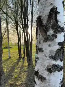 Удачное Кемп - 73