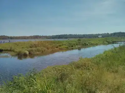 Бурдиха - 13