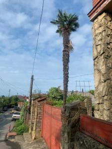 Алла-Рома - 30