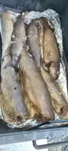 Тунгуска - 24