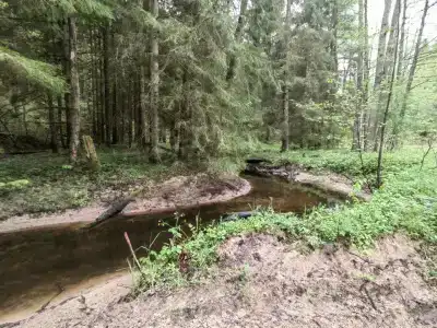 Краснолесье Точка - 13