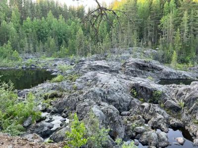 Усадьба Гирвас - 34