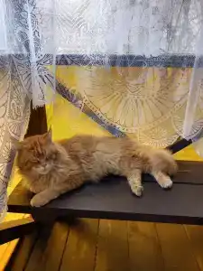 Четыре сезона - 64