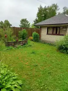 Кувшинка - 21