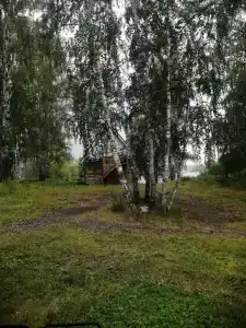 Наука - 15