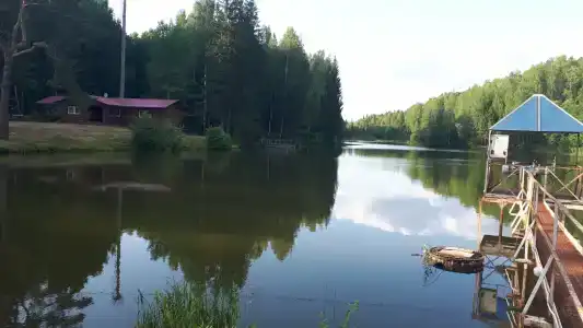 Карибу - 35