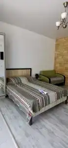 Вариант Омега - 53