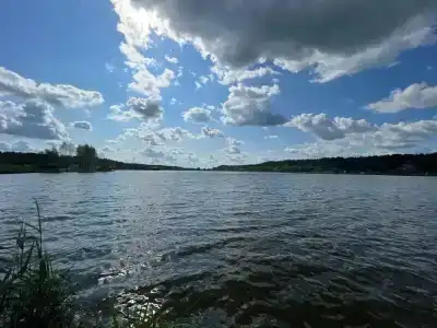 Лесное озеро - 10