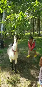 Центр Курма - 24