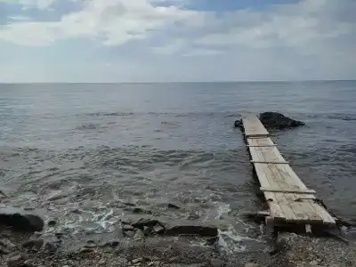 Ника - 69