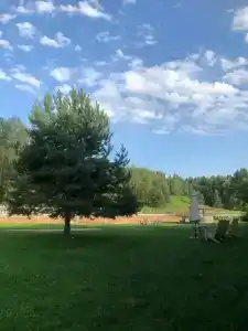 Конный Двор в Пржевальском - 45