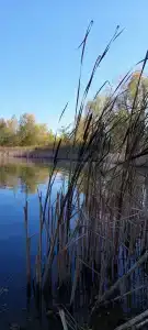 Озеро Снежное - 14