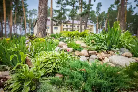 Славянка - 16