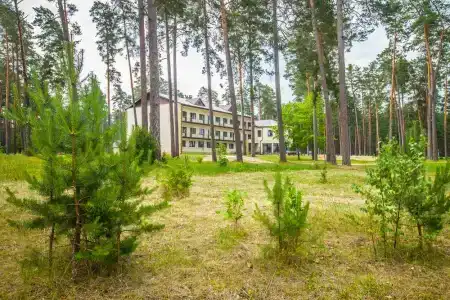 Славянка - 31