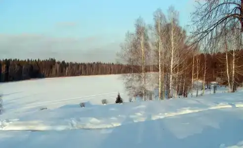 Имение Сведомских - 32