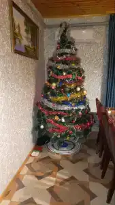 Татьянин дом - 64