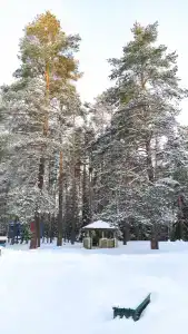 Звёздный - 75